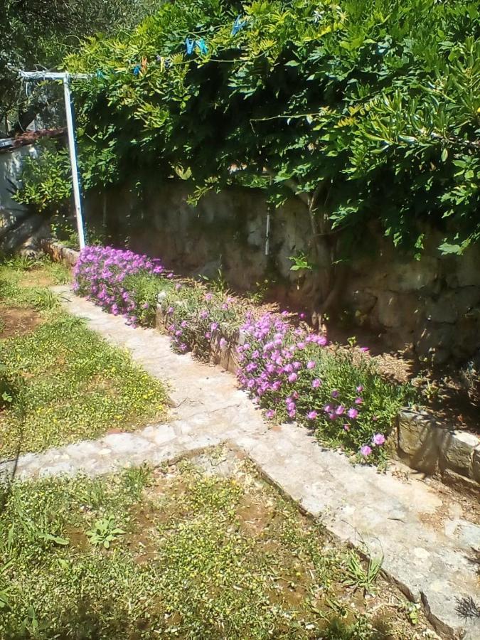 Apartman-Maja-Krk クルク エクステリア 写真